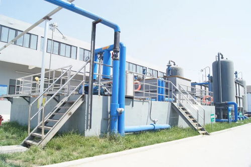 湯溝酒業榮膺“江蘇省綠色工廠”稱號，以綠色發展引領行業新風尚